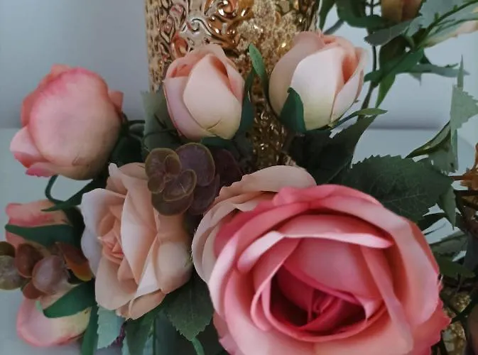 Casa vacanze Sweet Annalisa *