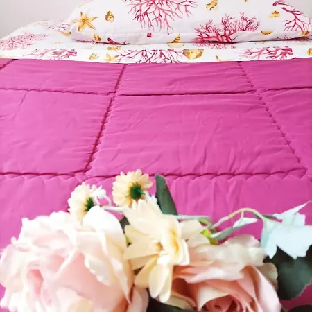 Sweet Annalisa 奥托纳